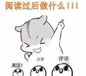 带猫咪去宠物店洗澡，老板一见快愁哭了：我给你钱，你去别家洗！