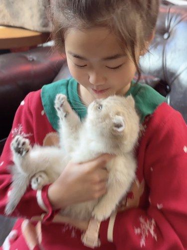 我的妈呀，他家的小猫会wike