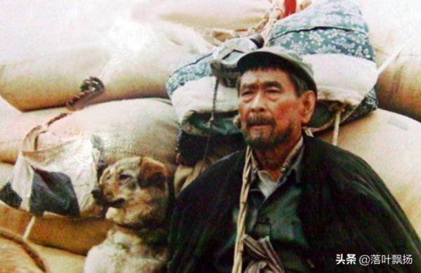 吃了这狗粮,16部狗狗的经典电影,每一部都让人感动