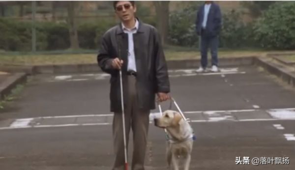 吃了这狗粮,16部狗狗的经典电影,每一部都让人感动