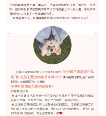 两家托管中心为被隔离家长提供免费宠物寄养服务。