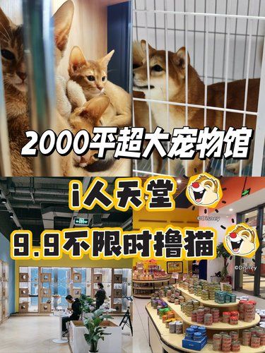 9.9呆一天❗上海新开2000平宠物馆[色]