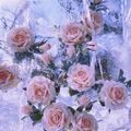 https://p0.meituan.net/userheadpicbackend/7c4802f5e1004c28683512c9b897c3e1827506.jpg%40120w_120h_1e_1c_1l%7Cwatermark%3D0