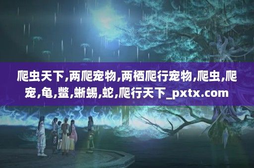 爬虫天下,两爬宠物,两栖爬行宠物,爬虫,爬宠,龟,鳖,蜥蜴,蛇,爬行天下_pxtx.com