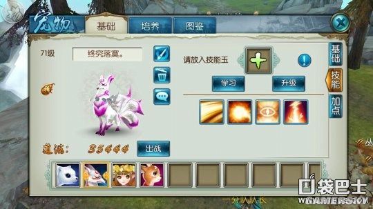 极品宠物养成手册