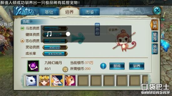 极品宠物养成手册