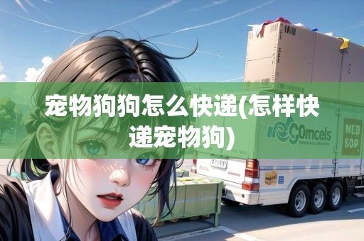宠物狗狗怎么快递(怎样快递宠物狗)