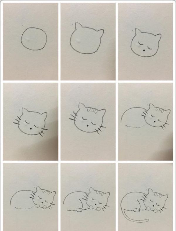 简笔画——可爱的小猫咪画法