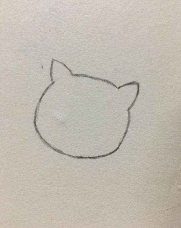 简笔画——可爱的小猫咪画法