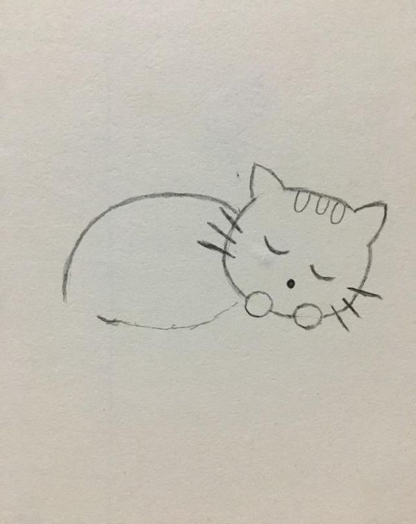 简笔画——可爱的小猫咪画法