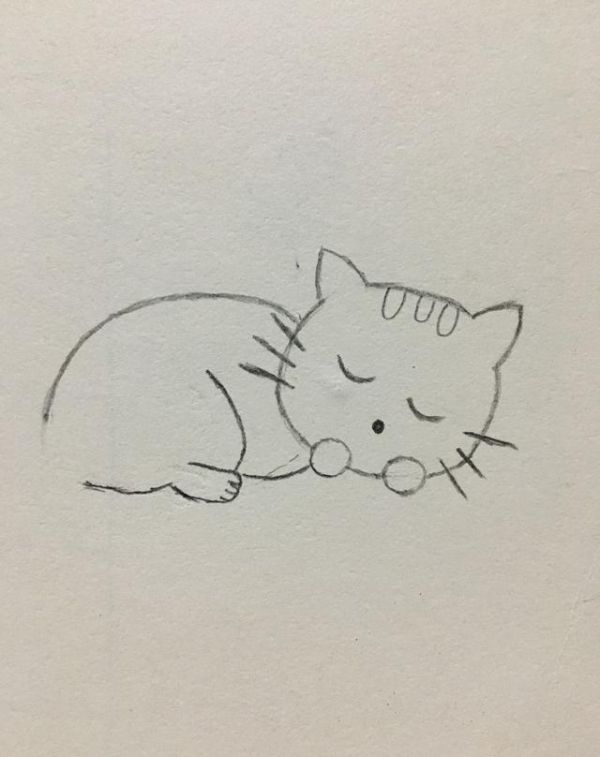 简笔画——可爱的小猫咪画法