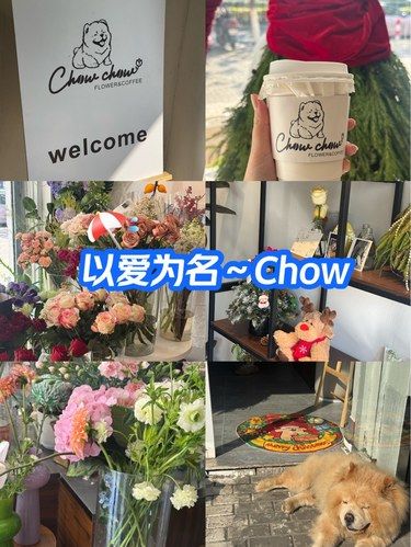 以爱为名的花咖店～Chow