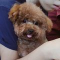 https://p0.meituan.net/userheadpicbackend/0fc4219c68386146b2fb862c25711c8b604676.jpg%40120w_120h_1e_1c_1l%7Cwatermark%3D0