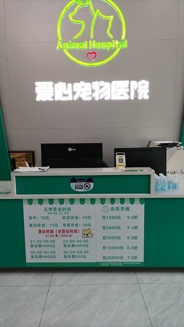 猫咪绝育日记