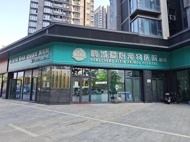 你知道狗狗注射疫苗的正确流程吗？