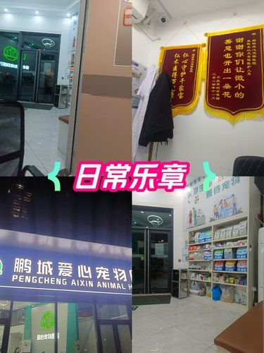 鹏城爱心打疫苗体验