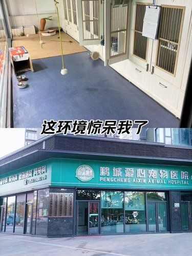 这环境惊呆我