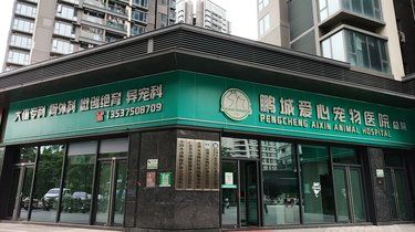 新生社区偶遇一家宠物医院