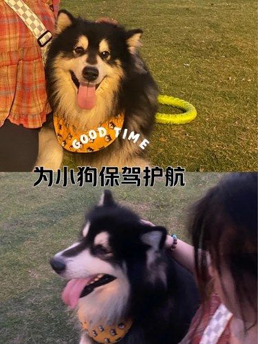 毛孩子生病我的心也跟着碎了‼️