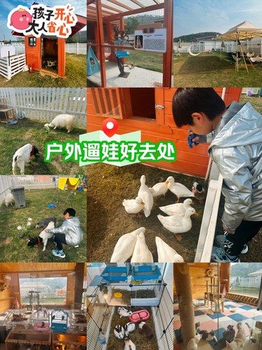 户外遛娃不费妈[笑脸]