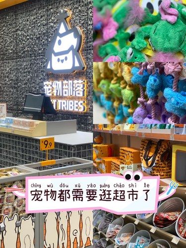 宠物比人好命