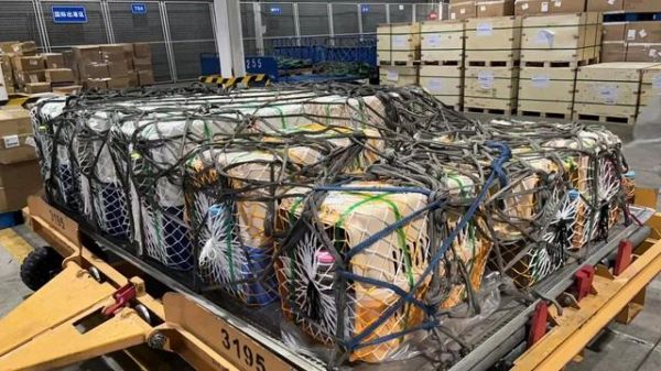 宠物运输有多难？看完这条就懂了｜罗新国际物流-有驾