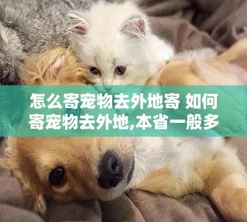 怎么寄宠物去外地寄 如何寄宠物去外地,本省一般多少钱