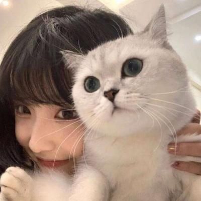 抱猫的女生头像真人可爱 抱猫的女生头像图片卡通