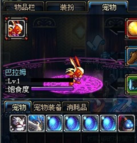 DNF巴拉姆宠物属性如何 巴拉姆宠物介绍