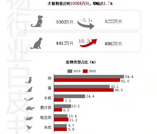国产宠物新锐品牌涌现 做更适合中国宠物的宠物粮