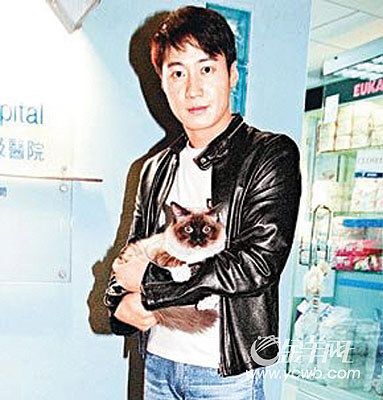 图文：明星猫猫和狗狗-黎明养了猫和狗