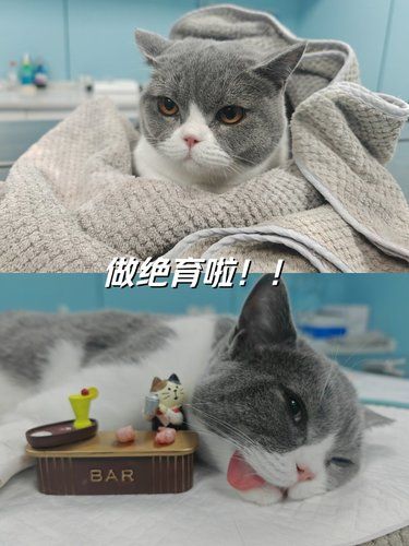 为了以后的幸福日子…
