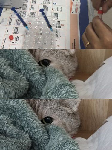 小宝检查出了肾衰和贫血，我…