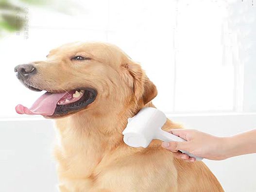 粘毛器商标分类