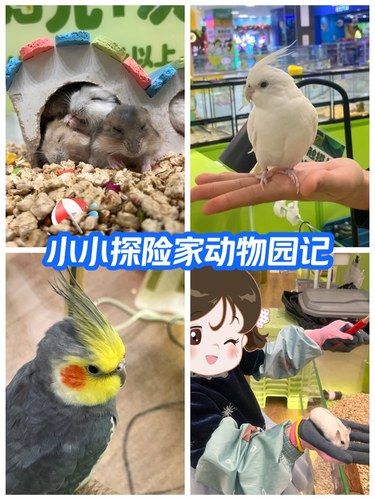 小小探险家动物园记