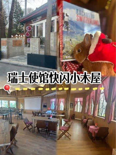 在北京湖边体验瑞士的一下午，宠物友好哦