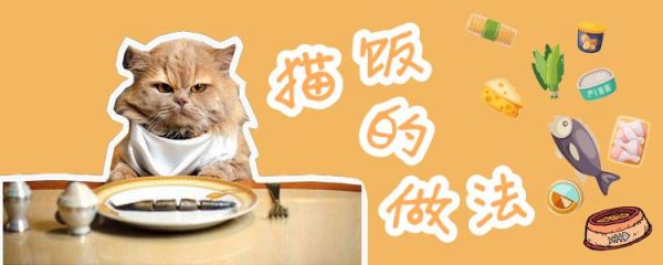猫饭的做法