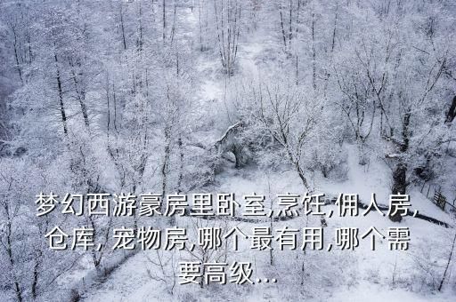 梦幻西游豪房里卧室,烹饪,佣人房,仓库, 宠物房,哪个最有用,哪个需要高级...
