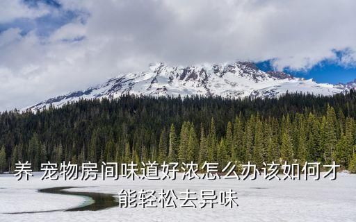 养 宠物房间味道好浓怎么办该如何才能轻松去异味