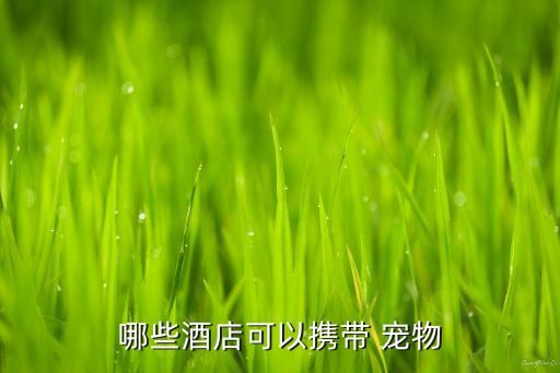 哪些酒店可以携带 宠物