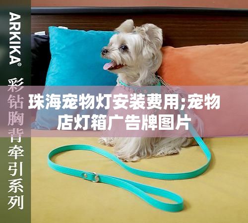 珠海宠物灯安装费用;宠物店灯箱广告牌图片