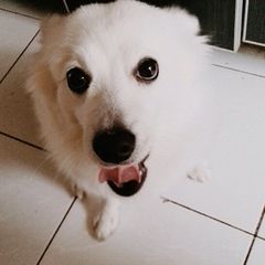 妞妞：麻麻想吃