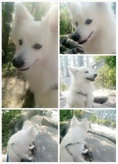 妞妞：我的妞