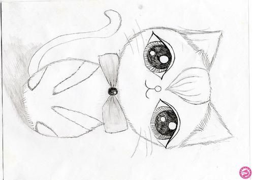 波斯猫简笔画-乐乐宠物图片