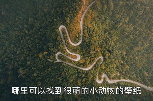 哪里可以找到很萌的小动物的壁纸