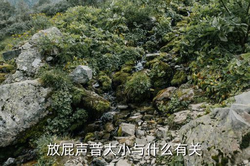 屁声音效,放屁的声音
