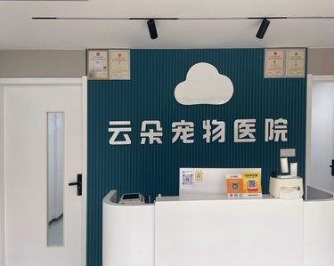 带着毛孩子体检的一天