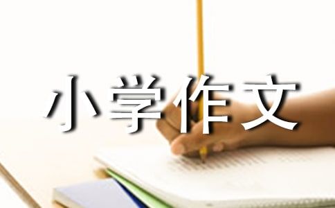 我想养宠物小学作文