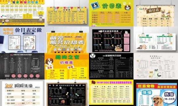 宠物店加盟价格表
