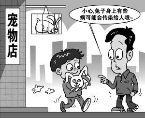 兔年兔子宠物很受宠饲养两点需要留意